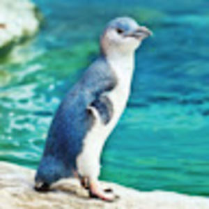 Meet your Posher, Kjeld